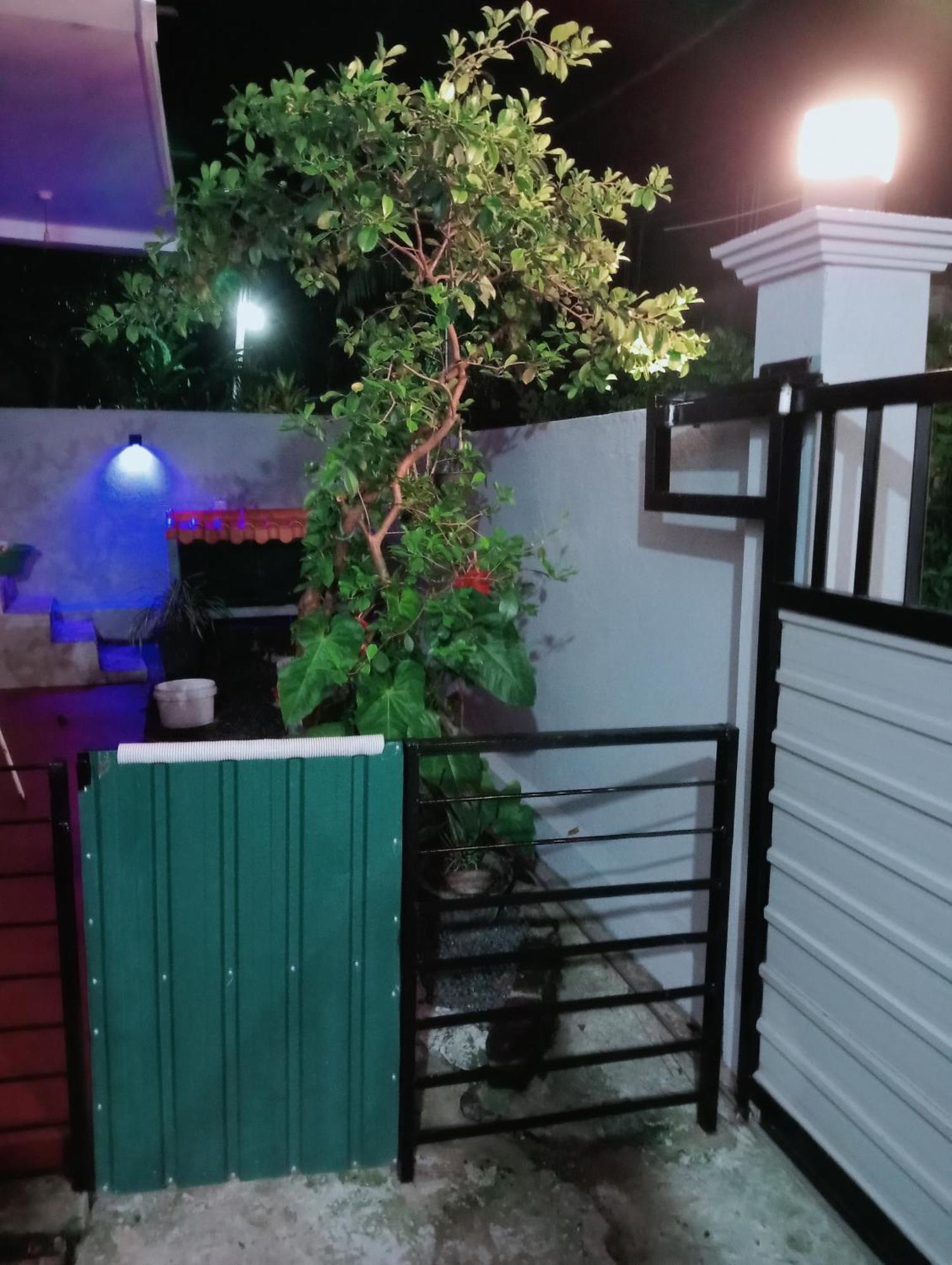 Great yeheni villa Hikkaduwa Dış mekan fotoğraf